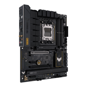 w800 -1-.png