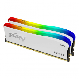 Kingston Fury Beast RGB Special Edition 1.png