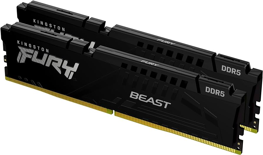 Kingston FURY Beast DDR5 no RGB 1.png