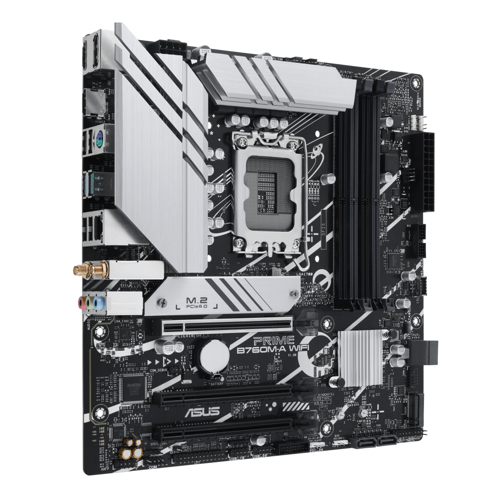image -3-.png