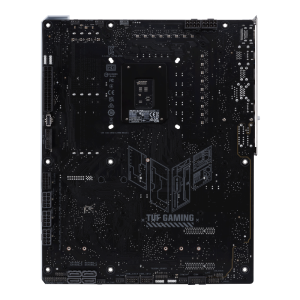 w800 -2-.png