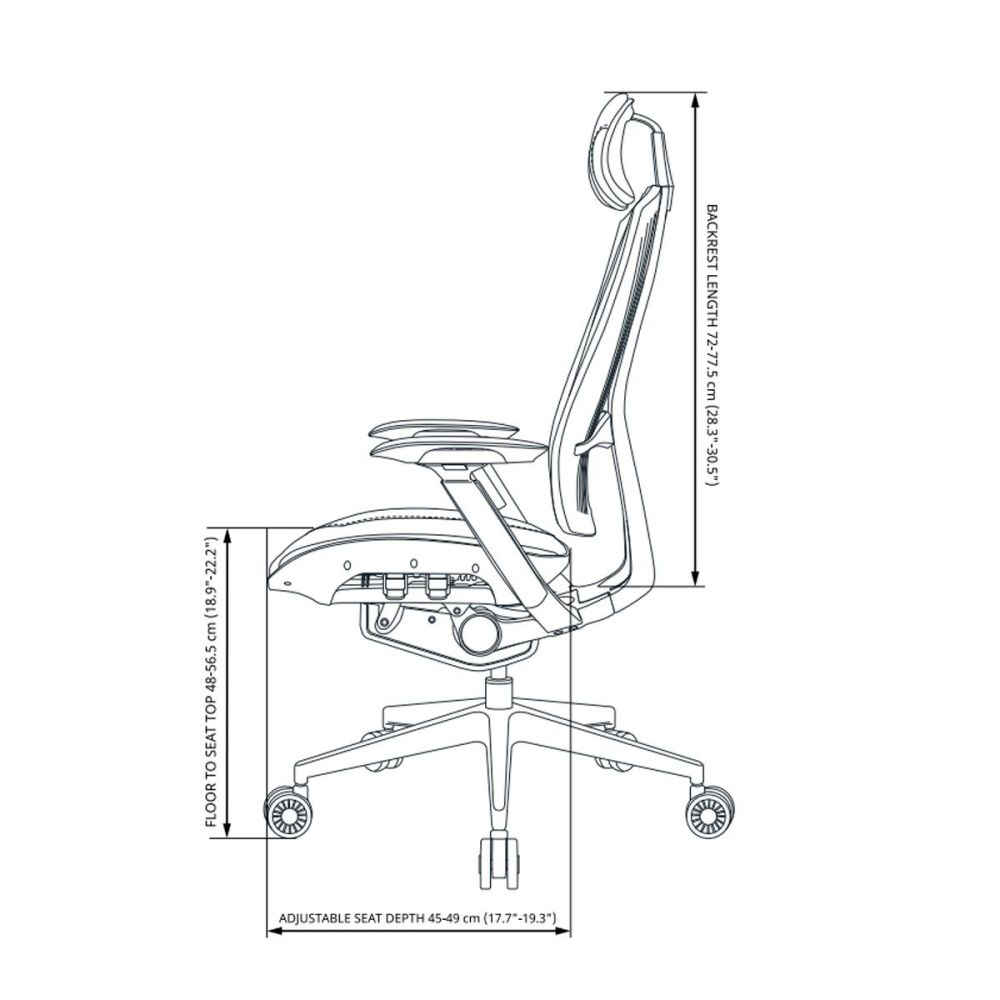2-Ergo-L.jpg