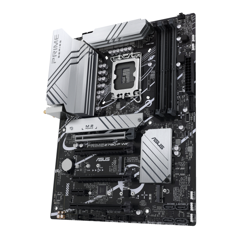 w800 -1-.png