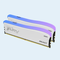 Kingston Fury Beast RGB Special Edition 3.png