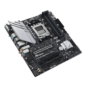 image -3-.png