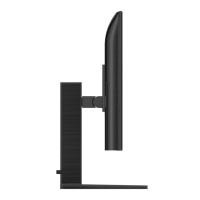 image -9-.png
