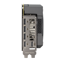w800 -2-.png