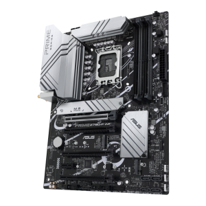 w800 -1-.png