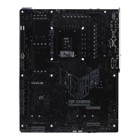 w800 -2-.png