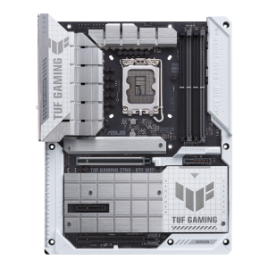 w800 -3-.png