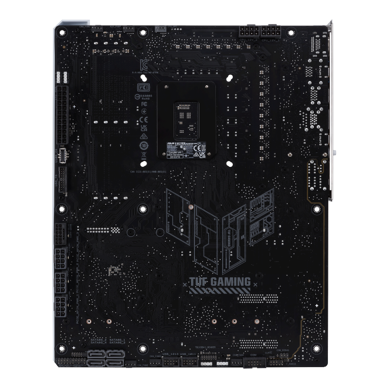 w800 -2-.png