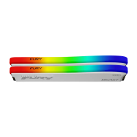 Kingston Fury Beast RGB Special Edition 4.png