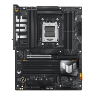 w800.png
