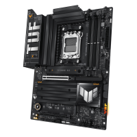 w800 -1-.png