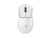 pro-x-superlight-2-dex-white-gal.png