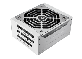 COUGAR POLAR X2 1050W PLATINUM 5.png