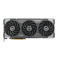w800 -4-.png