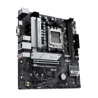 image -2-.png