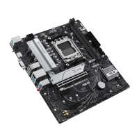 image -3-.png
