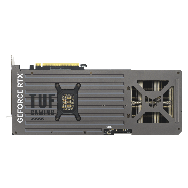 w800 -1-.png